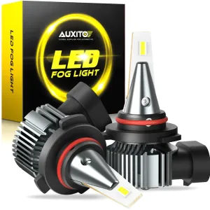 2004-2022 Ford F150 Fog Light H10/9145 LED Bulb 3000K