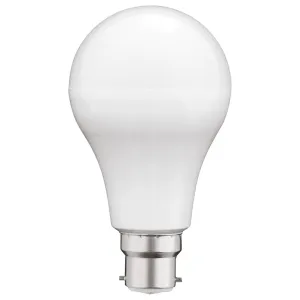 A60 Day Light B22 LED Globe