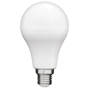A60 Day Light E27 LED Globe
