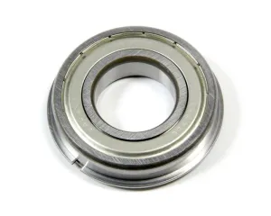 Bert Input Shaft Bearing