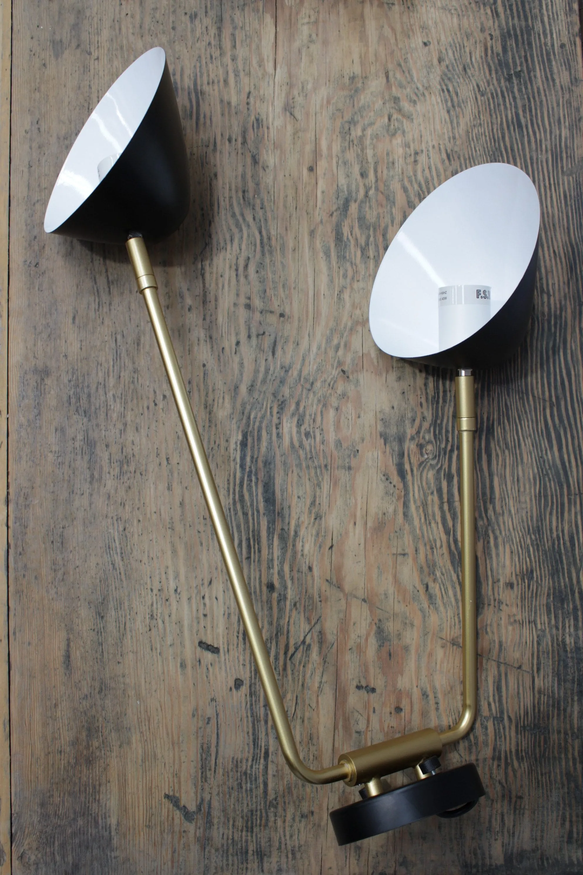 Dallas Tiltable 2 Arm Wall Light