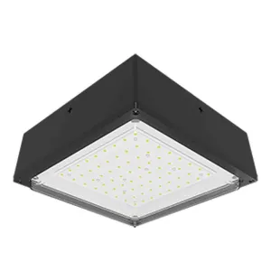 LED Canopy Light, 6810 Lumens, 52 Watts, 5000K, 120-277V, Vandal Proof