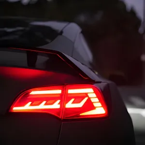 Tail Light Assembly for Tesla Model 3 & Model Y