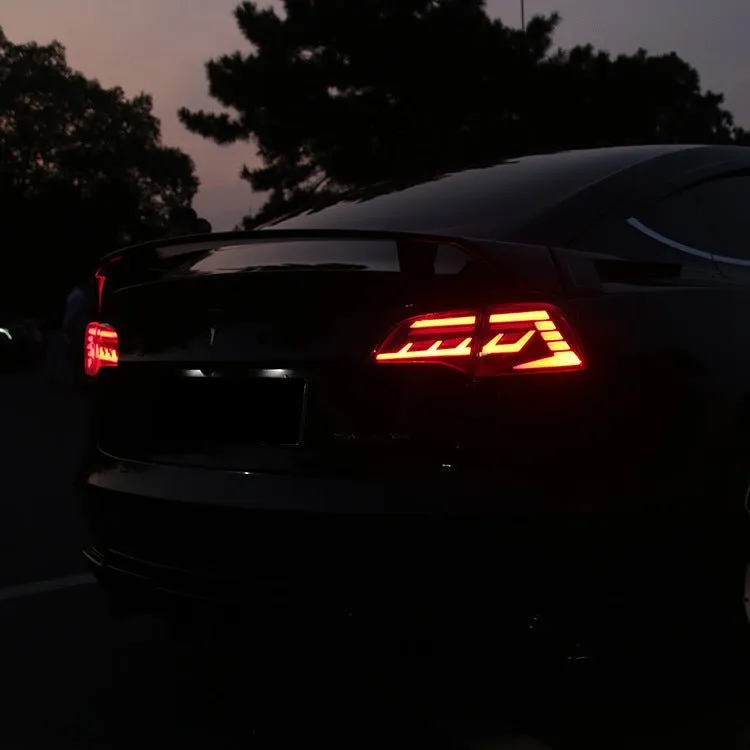 Tail Light Assembly for Tesla Model 3 & Model Y
