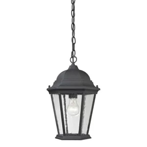 Temple Hill 1-Lght Hanging Lght Matte Textured Black